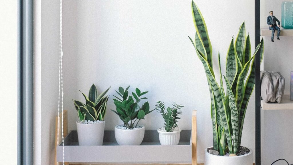 Inicio hero section bg